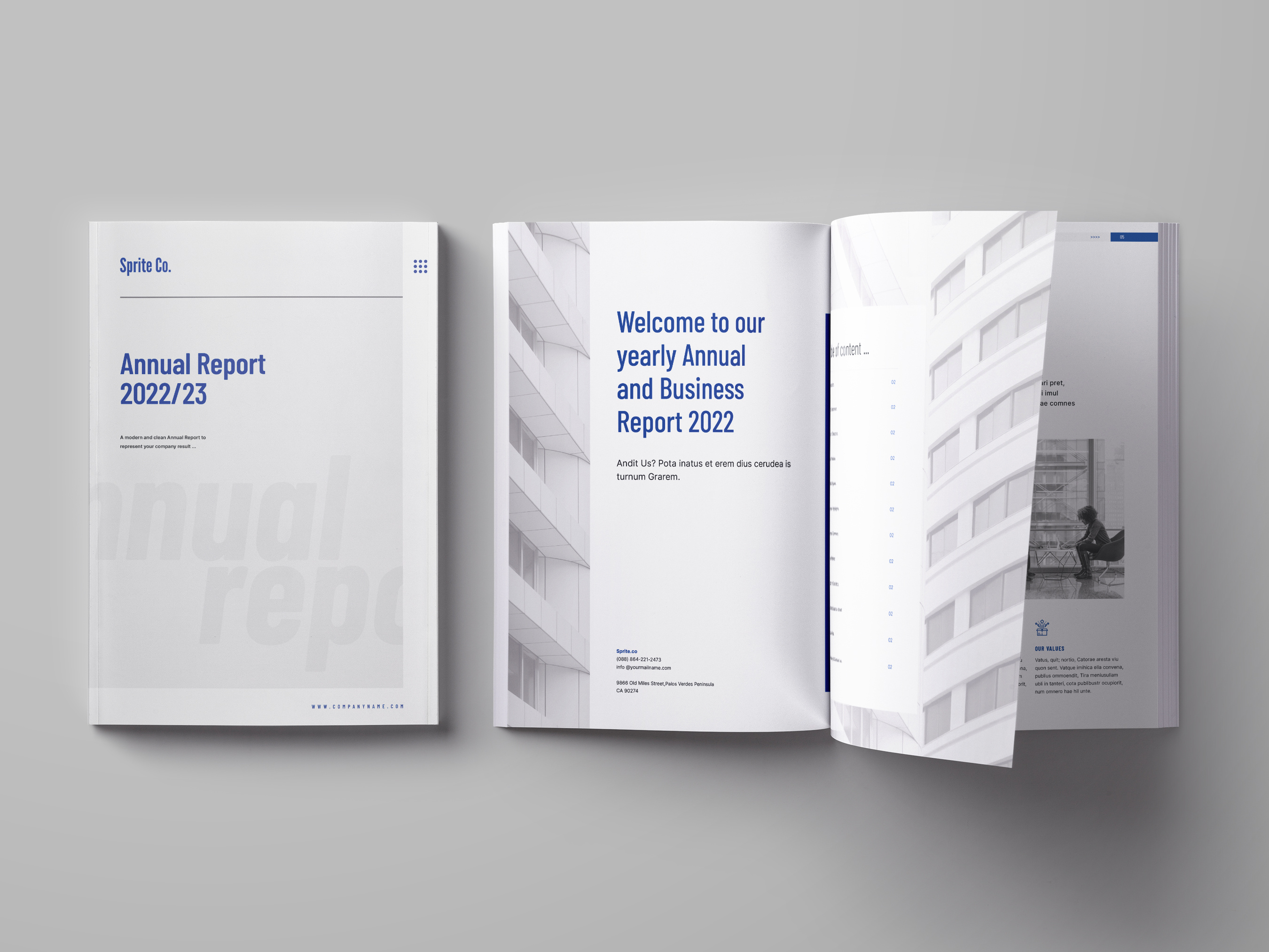 Annual Report brand manual branding design graphic design print proposal