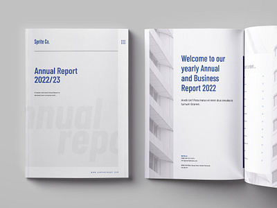 Annual Report brand manual branding design graphic design print proposal