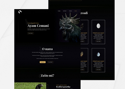 Ayam Cemani Website Design agriculture ayam cemani black chikens dark dark theme project ui ui design ui ux ux website