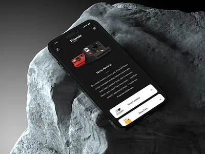 UX/UI Design Case Study - Ft. Polaroid