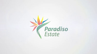 Paradiso Estate Video animation development drone estate graphic design motion graphics photography real estate social video videography