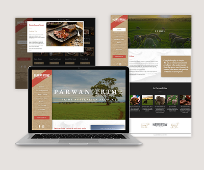 Parwan Prime website branding design graphic design ui website wordpress