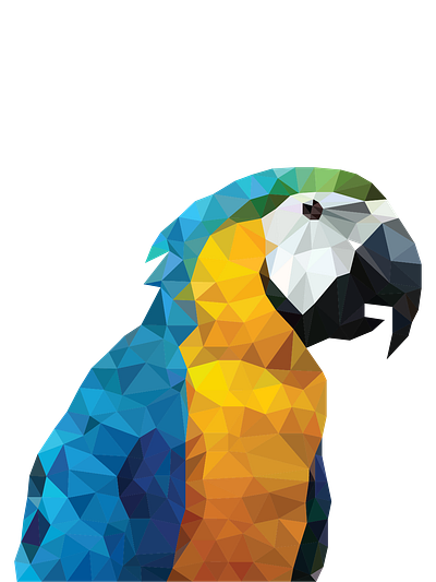 Parrot poly art colorful graphic design parrot polyart