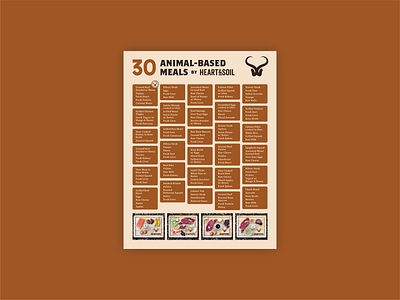 Animal Based Diet Plan Handout graphic design print design