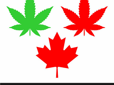 Marijuana Leaf canada leaf canada logo illustration leaf dxf leaf png leaf svg marijuana leaf marijuana leaf svg