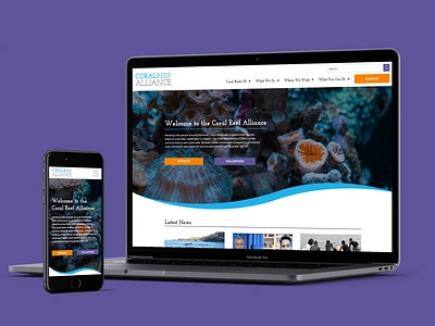 Coral Reef Alliance Refresh branding web design