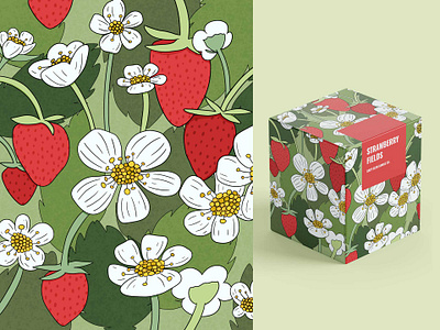 Strawberry Fields art design hand drawn illustration packaging pattern strawberry