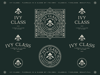 Ivy Class botanical design brand identity branding logo logo collection logo design logo icon logo lockup logo mark sophisticated vintage logo