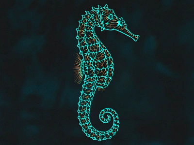 Seahorse design illustration textile typography