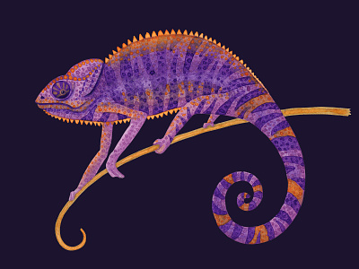 Purple chameleon design illustration poster typography