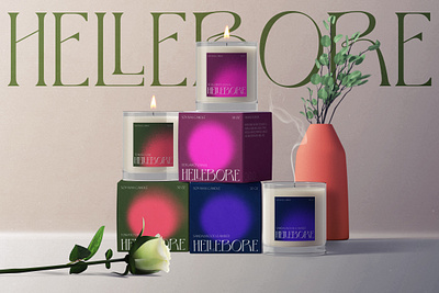 Hellebore Candle Company art direction branding branding design candle design graphic design identity design illustration packaging design type