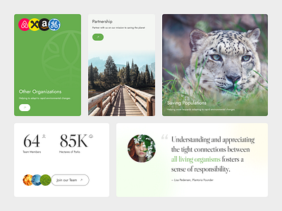 Plantoria - Ecology Website clean ecology green interface leopard minimal nature ui web