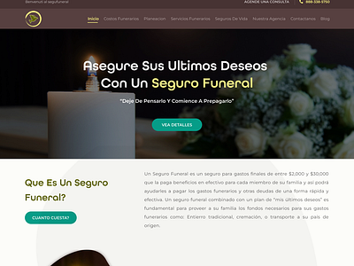 Seguro Funeral - Serene Farewells Website UI Design app branding design graphic design illustration logo typography ui ux vector