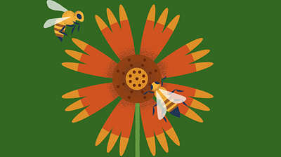 Bees animal illustration app illustration color design illustration spot illustration ui ui illustration