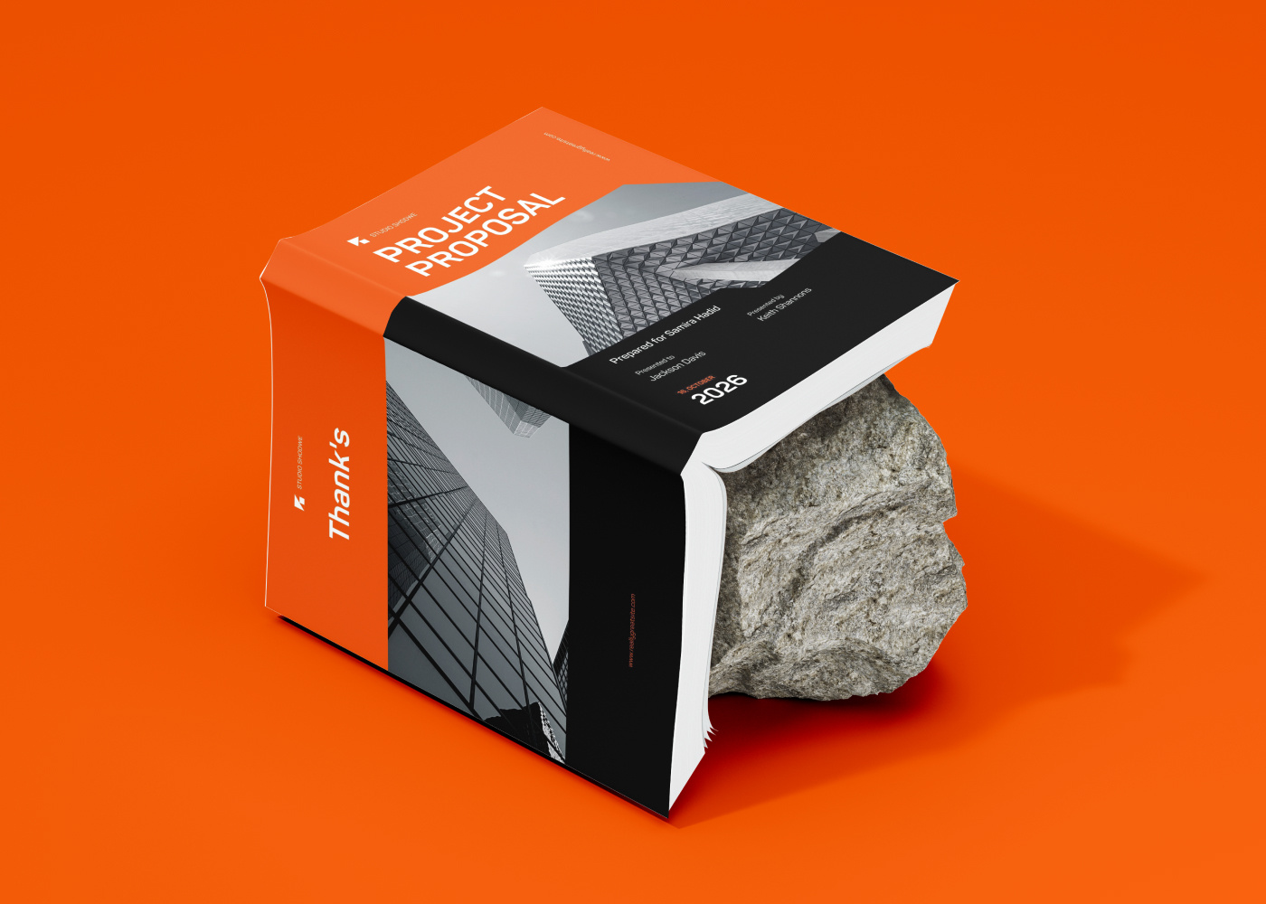 Project Proposal booklet branding company profile editorial graphic design layout print project project proposal proposal