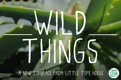 Wild Things Font bold display extra bold fonts ligatures light little type house oblique playful sans serif typeface very nice wild things font