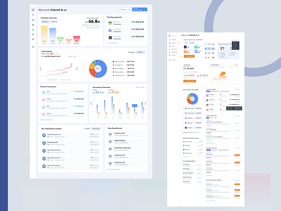 Payments Overview branding design illustration product ui