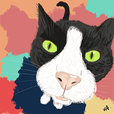 Cat from the animal shelter cat illustration