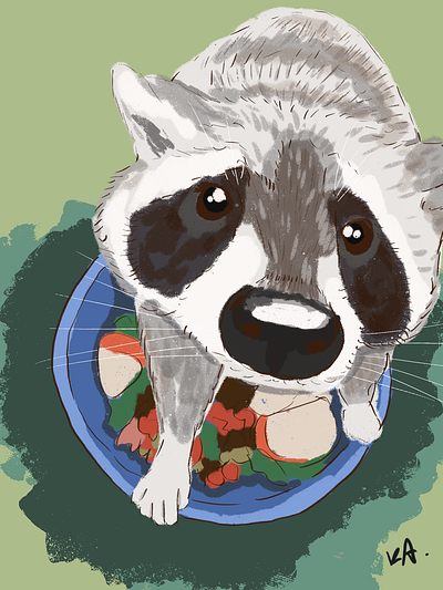 raccoon from an animal shelter illustration raccoon