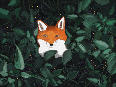 fox in the forest fox illustration