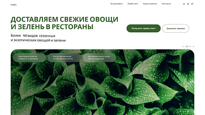 Website for delivery of vegetables and greenery graphic design ui