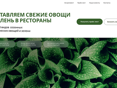 Website for delivery of vegetables and greenery graphic design ui