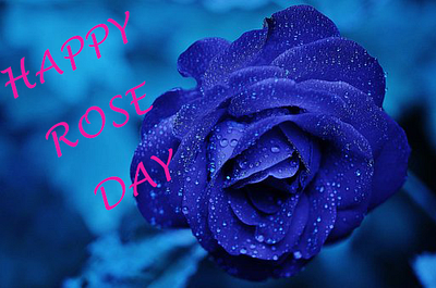 Happy Rose Day Images Wishes 2024 happyroseday happyroseday2024 roseday2024 roseday2024images rosedayimages rosedayimageshindi rosedayquotes rosedayquoteshindi rosedaystatus rosedaywishes