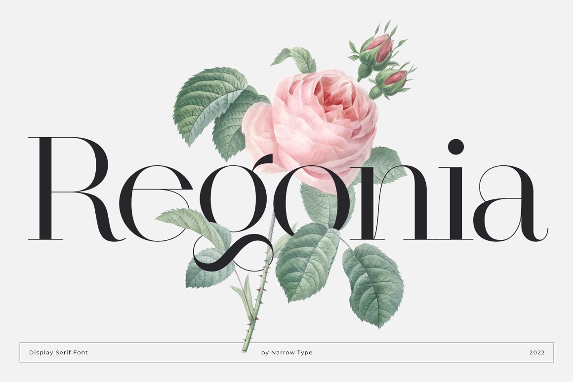 Regonia Display Serif Typeface alternates botanical classical didot geometric high contrast large x height ligatures modern stylistic alternates thin hairlines