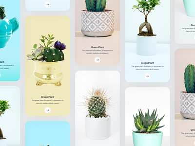 Indoor Plant Onboarding UI Design android android screen design app apple design interface ios ios screen ios screen design minimal mobile app mobile ui mobile ui design mobile ux ui desig onboarding app rakibuix ui uiux ux