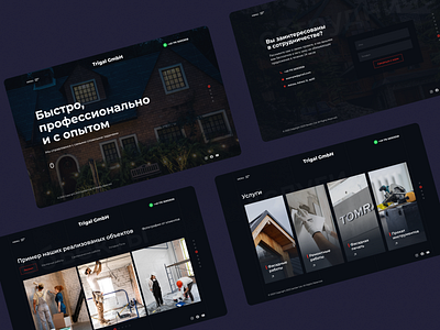 Trigal GmbH ui ux web design
