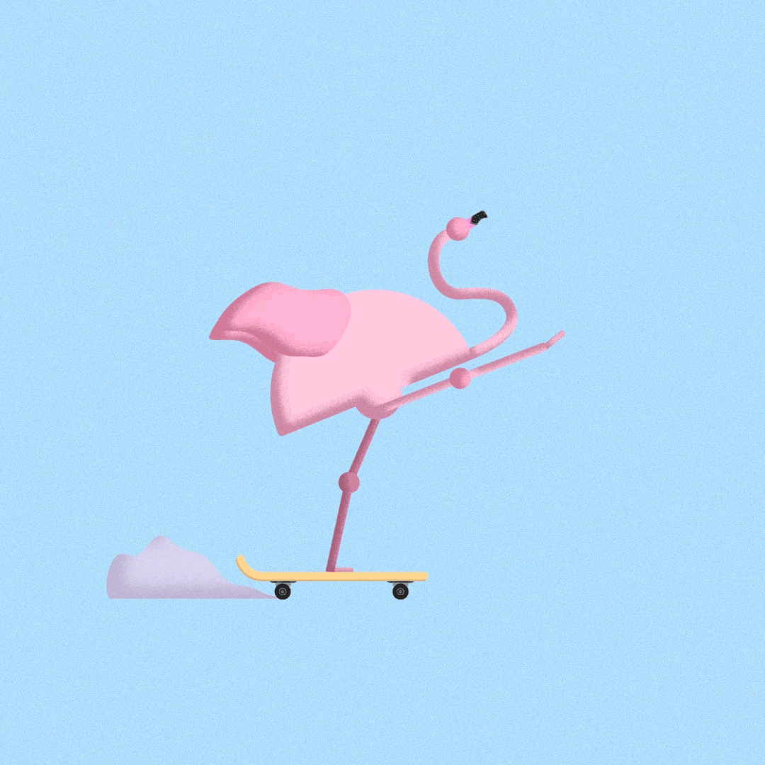 Flamingo Skater by Rafael Ruiz on Dribbble