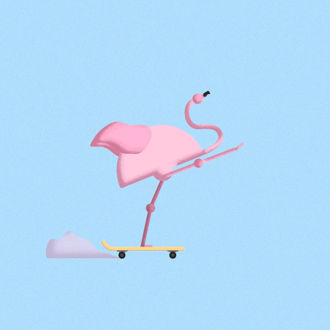 Flamingo Skater animation motion graphics