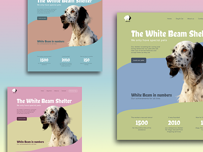 Design concept for the White Beam Shelter cat cute design design concept dog graphic design shelter ui ux white bim