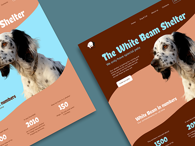 Design concept for the White Beam Shelter cat cute design design concept dog graphic design shelter ui ux white bim