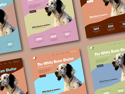 Design concept for the White Beam Shelter cat cute design design concept dog graphic design shelter ui ux