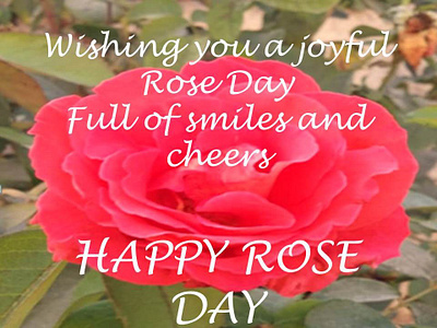 Happy Rose Day Quotes for 7th February 2024 happyroseday happyroseday2024 happyrosedayquotes roseday2024 roseday2024quotes rosedayquotes rosedayquotesenglish