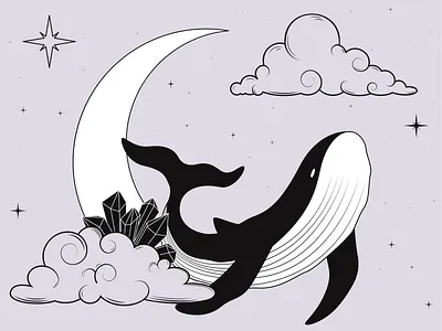 Whale animals illustration vector illustration whale