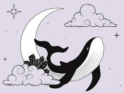 Whale animals illustration vector illustration whale