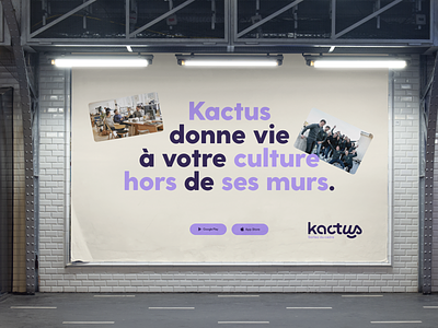 Kactus — Branding advertising art direction brand design branding graphic design print visual identity