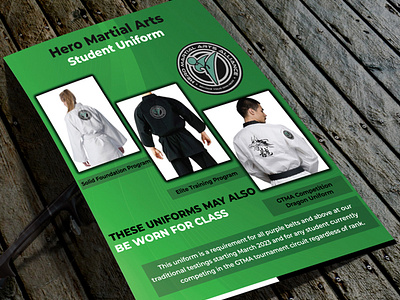 Flyer Design for Martial Arts Alliance flyer flyer design graphic design martical arts printing material