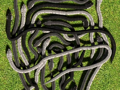 Tangled snakes puzzle 3d animation game hypercasual mobile motion graphics puzzle