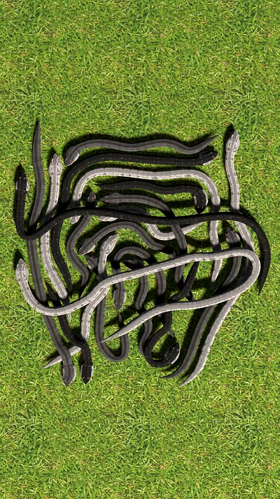 Tangled snakes puzzle 3d animation game hypercasual mobile motion graphics puzzle