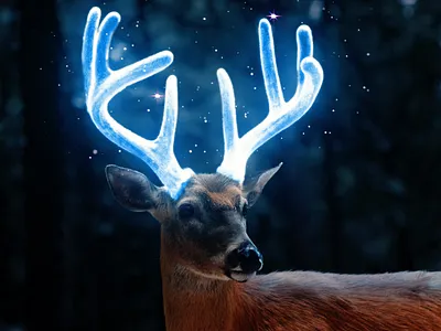 Glowing Effect on Deer Horn graphic design