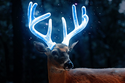 Glowing Effect on Deer Horn graphic design