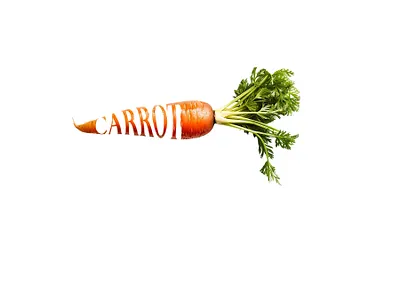 Warp Carrot branding graphic design