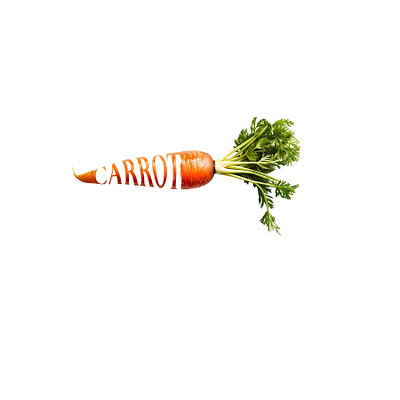 Warp Carrot branding graphic design