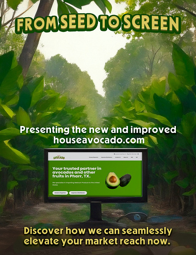 Houseavocado.com promo art avocado avocados casa del aguacate content creation design graphic design illustration