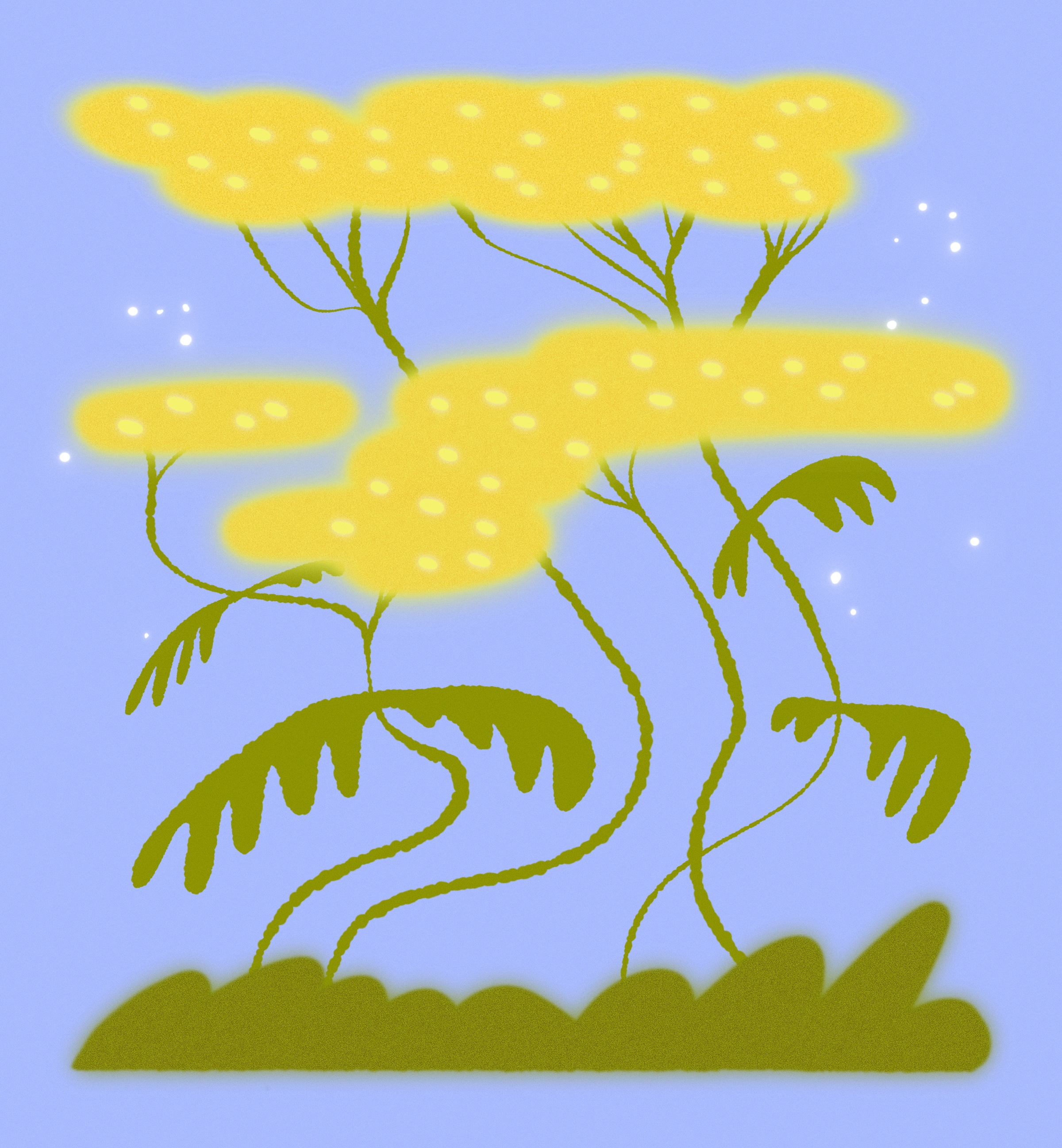 Nature Studies: 06 blur botanical colourful design digitalillustration floral illustration illustrator nature plants textures