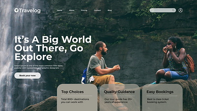 Travel Landing Page graphic design ui