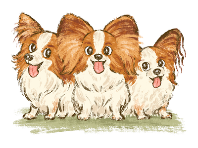 Three Papillons animal character dog illustration pet puppy